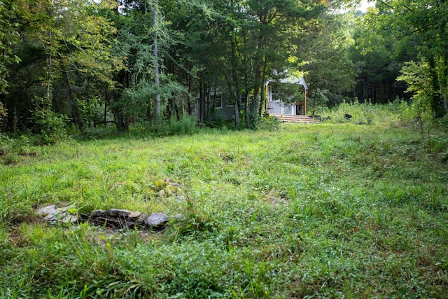 193 Dixon Ln, Pleasant Shade, TN 37145 - photo 12