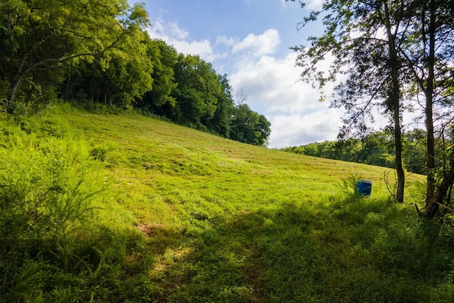 193 Dixon Ln, Pleasant Shade, TN 37145 - photo 20