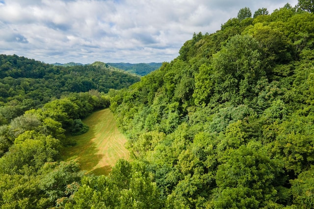 193 Dixon Ln, Pleasant Shade, TN 37145 - photo 18