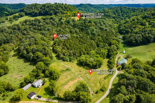 193 Dixon Ln, Pleasant Shade, TN 37145 - photo 5