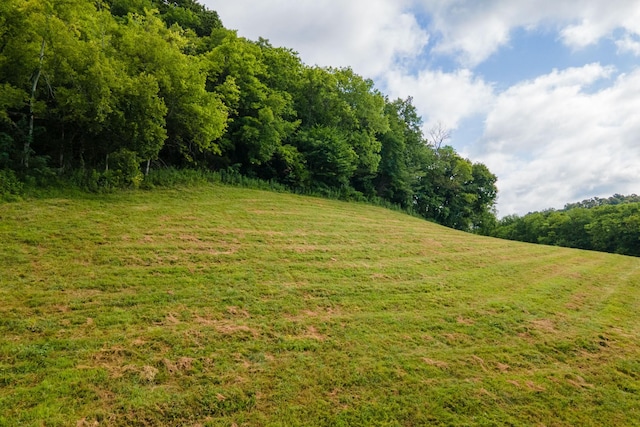 193 Dixon Ln, Pleasant Shade, TN 37145 - photo 3