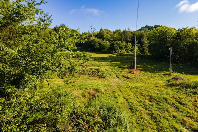 193 Dixon Ln, Pleasant Shade, TN 37145 - photo 14