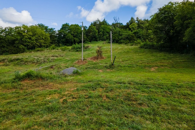 193 Dixon Ln, Pleasant Shade, TN 37145 - photo 28