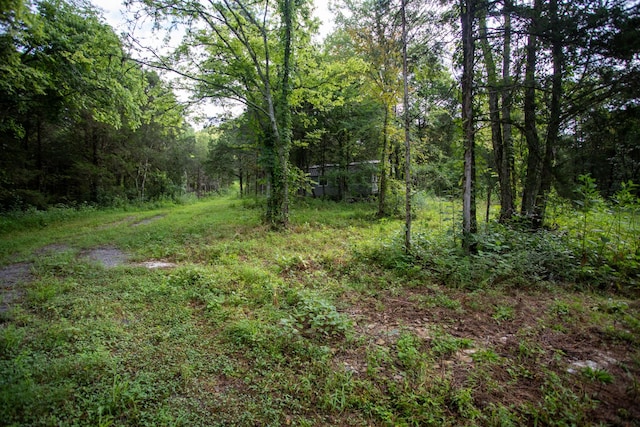 193 Dixon Ln, Pleasant Shade, TN 37145 - photo 25