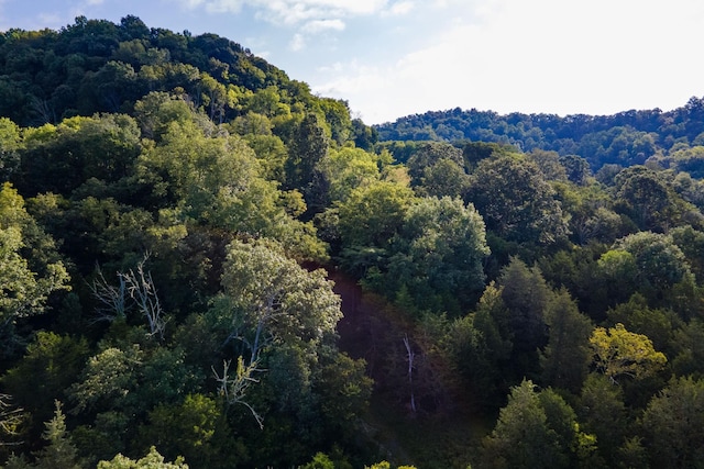 193 Dixon Ln, Pleasant Shade, TN 37145 - photo 29