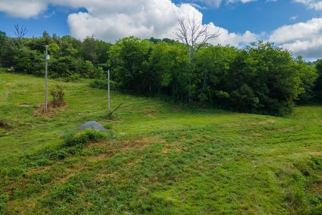 193 Dixon Ln, Pleasant Shade, TN 37145 - photo 15