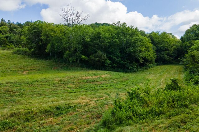 193 Dixon Ln, Pleasant Shade, TN 37145 - photo 7