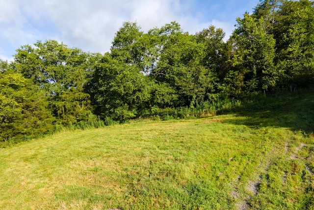 193 Dixon Ln, Pleasant Shade, TN 37145 - photo 24
