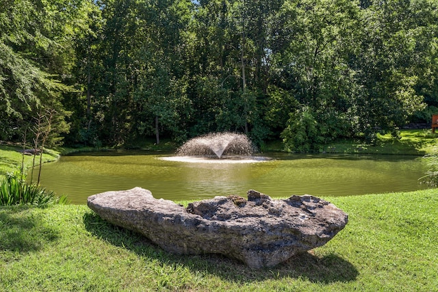 2357 Forest Lake Dr, Nashville, TN 37211 - photo 4