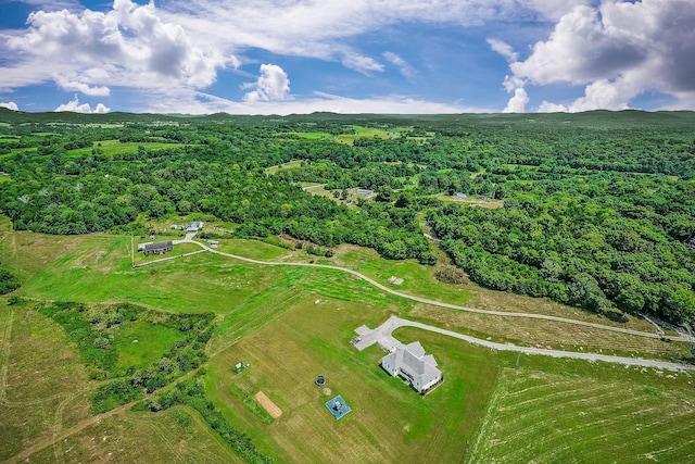 195 Holmes Gap Rd, Alexandria, TN 37012 - photo 4