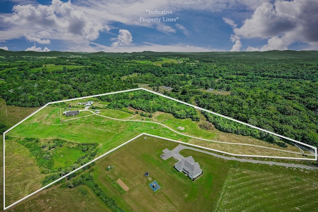 195 Holmes Gap Rd, Alexandria, TN 37012 - photo 28