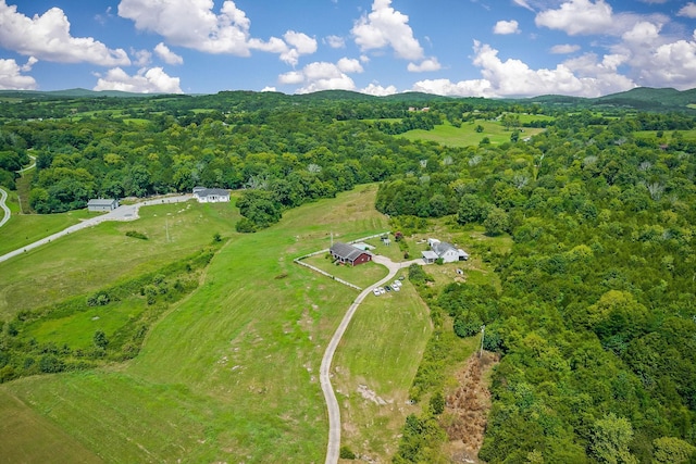 195 Holmes Gap Rd, Alexandria, TN 37012 - photo 27