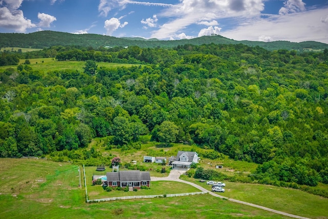 195 Holmes Gap Rd, Alexandria, TN 37012 - photo 3