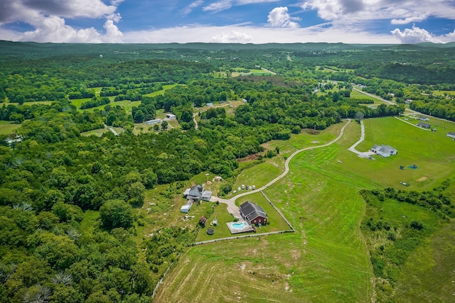 195 Holmes Gap Rd, Alexandria, TN 37012 - photo 25
