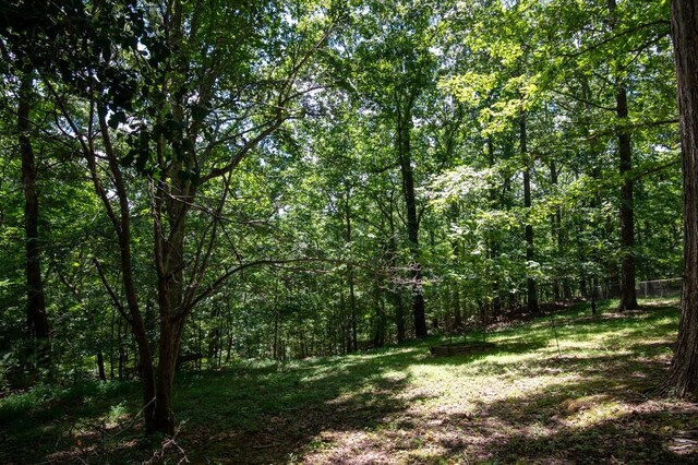 1824 Winding Way Dr, White House, TN 37188 - photo 31