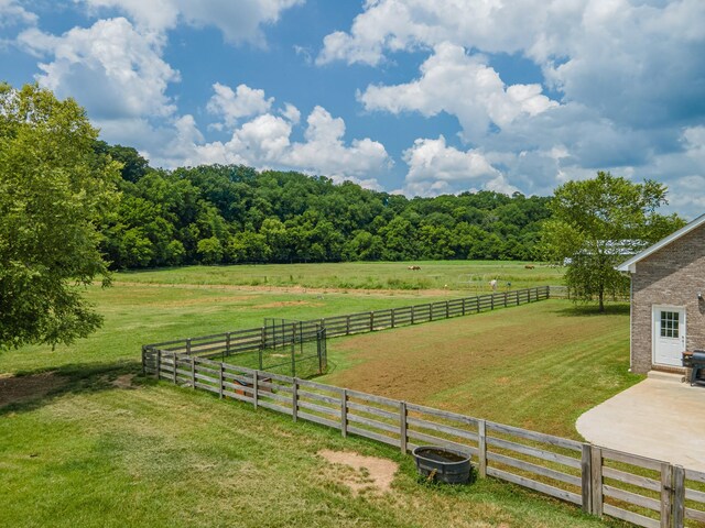 7599 Beech Hill Rd, Pulaski, TN 38478 - photo 64