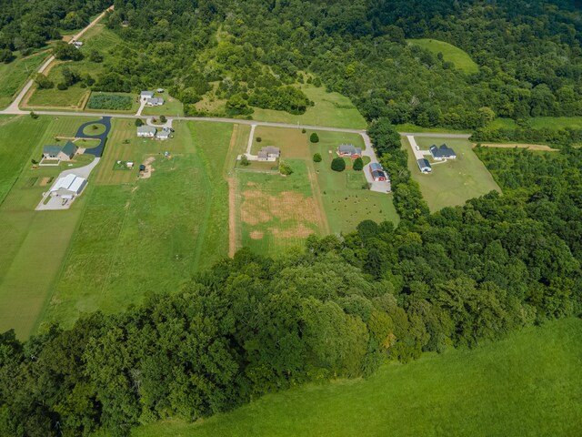 7599 Beech Hill Rd, Pulaski, TN 38478 - photo 88