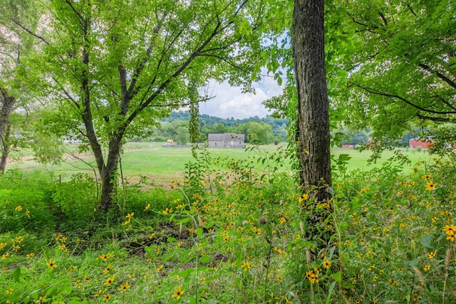 7599 Beech Hill Rd, Pulaski, TN 38478 - photo 78
