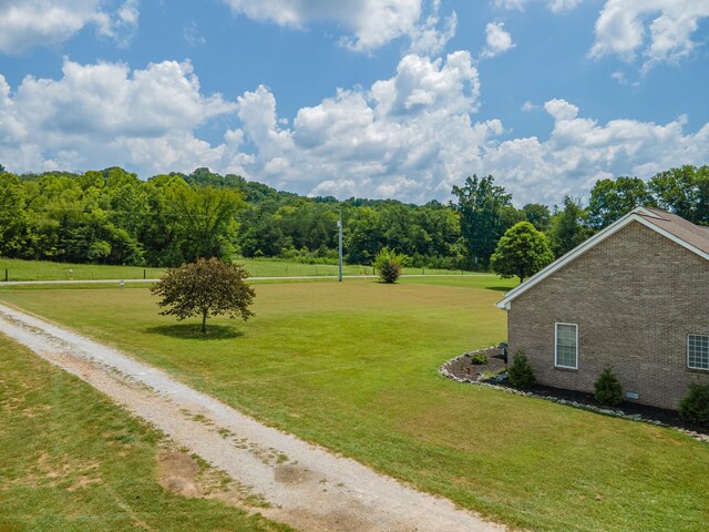 7599 Beech Hill Rd, Pulaski, TN 38478 - photo 60