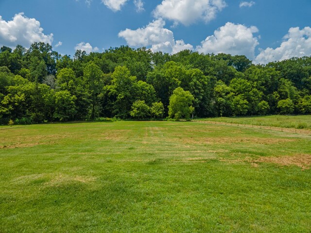 7599 Beech Hill Rd, Pulaski, TN 38478 - photo 72