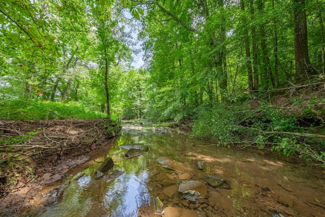 7599 Beech Hill Rd, Pulaski, TN 38478 - photo 74