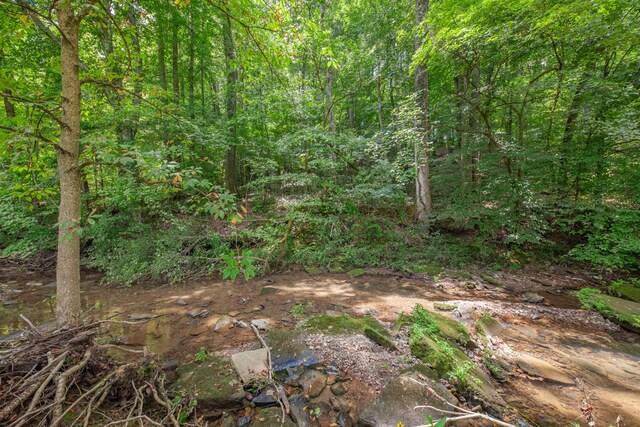 7599 Beech Hill Rd, Pulaski, TN 38478 - photo 73