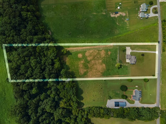 7599 Beech Hill Rd, Pulaski, TN 38478 - photo 87