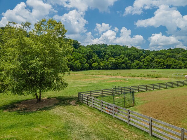 7599 Beech Hill Rd, Pulaski, TN 38478 - photo 69