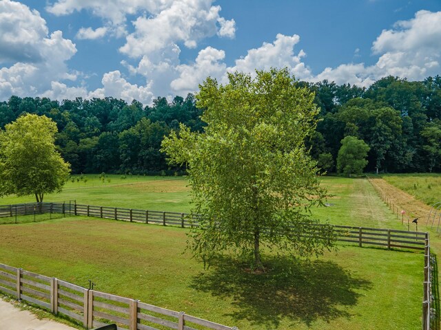 7599 Beech Hill Rd, Pulaski, TN 38478 - photo 67
