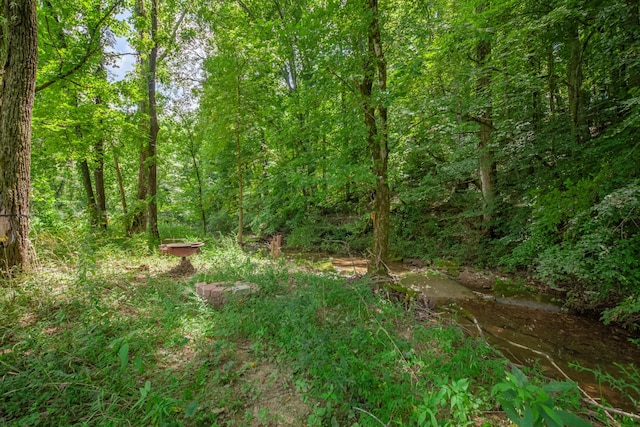 7599 Beech Hill Rd, Pulaski, TN 38478 - photo 77