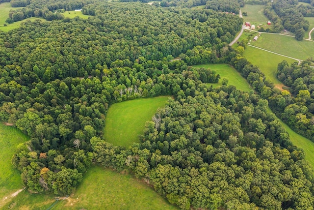 1150 Bell Hollow Rd, Vanleer, TN 37181 - photo 9