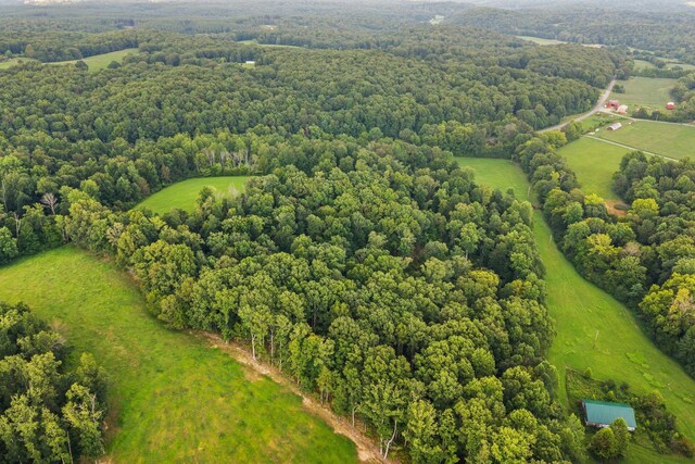 1150 Bell Hollow Rd, Vanleer, TN 37181 - photo 10