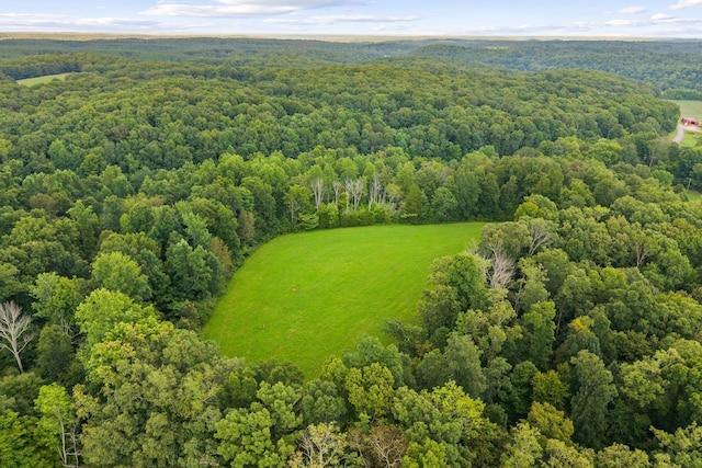 1150 Bell Hollow Rd, Vanleer, TN 37181 - photo 8