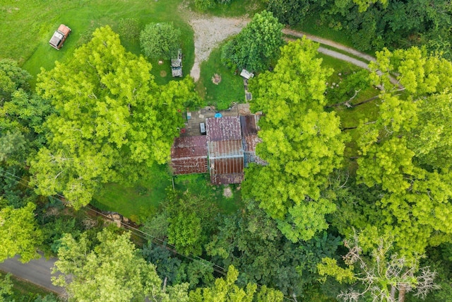 1150 Bell Hollow Rd, Vanleer, TN 37181 - photo 2