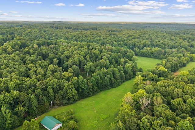 1150 Bell Hollow Rd, Vanleer, TN 37181 - photo 11