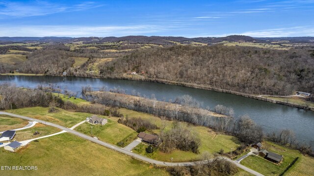 1982 Holston Shores Dr, Rutledge, TN 37861 - photo 52