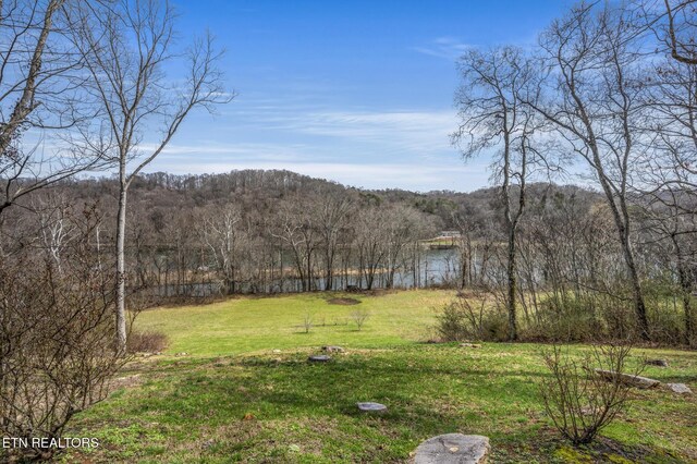 1982 Holston Shores Dr, Rutledge, TN 37861 - photo 45