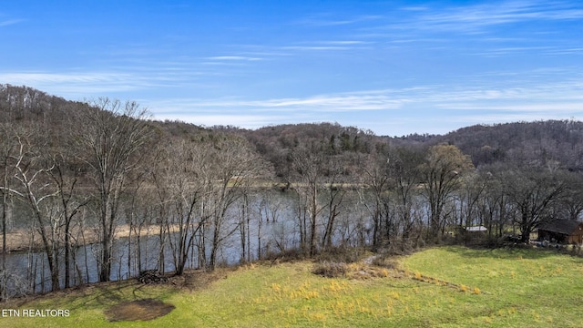 1982 Holston Shores Dr, Rutledge, TN 37861 - photo 46