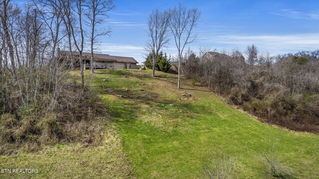 1982 Holston Shores Dr, Rutledge, TN 37861 - photo 50