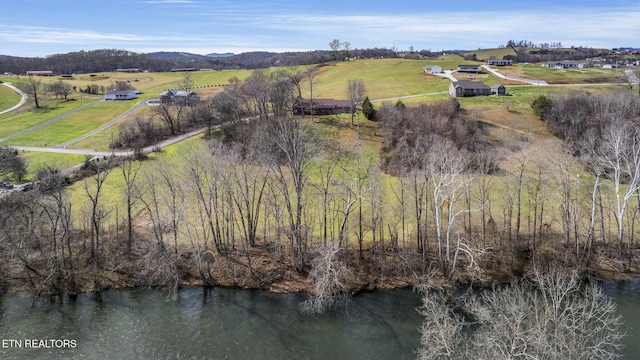 1982 Holston Shores Dr, Rutledge, TN 37861 - photo 57