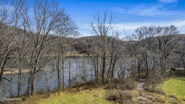 1982 Holston Shores Dr, Rutledge, TN 37861 - photo 47