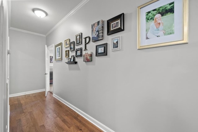 403 Riverwood Dr W, Hopkinsville, KY 42240 - photo 21