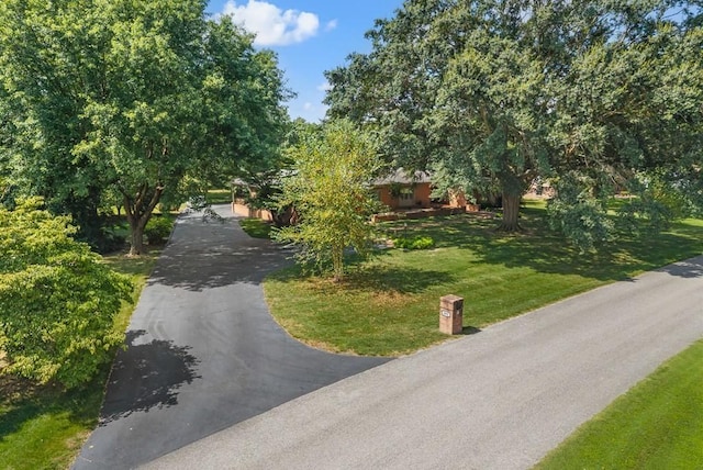 403 Riverwood Dr W, Hopkinsville, KY 42240 - photo 44
