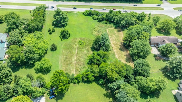 2295 Nashville Hwy, Columbia, TN 38401 - photo 17