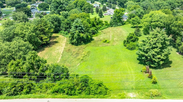 2295 Nashville Hwy, Columbia, TN 38401 - photo 23