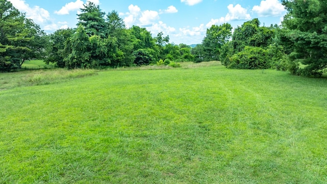 2295 Nashville Hwy, Columbia, TN 38401 - photo 24