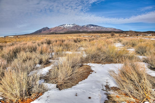 321 Bobbie Ln Unit 50, La Sal, UT 84530