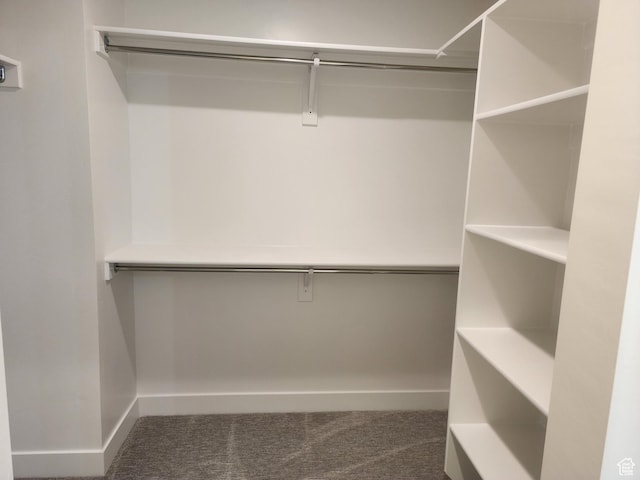 9786 N Aaron Ave E Unit 221, Eagle Mountain, UT 84005 - walk in closet with carpet