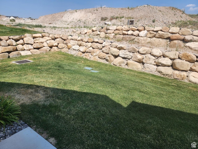 9786 N Aaron Ave E Unit 221, Eagle Mountain, UT 84005 - view of yard
