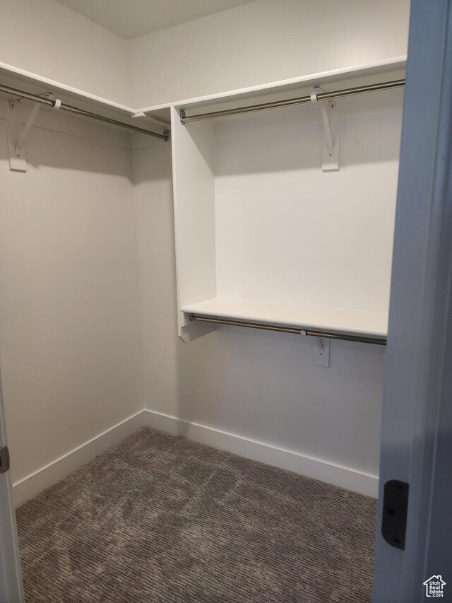 9786 N Aaron Ave E Unit 221, Eagle Mountain, UT 84005 - spacious closet with dark colored carpet